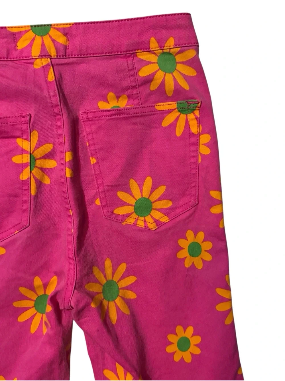 We The Free Size 27 Floral Youthquake Cropped Wide Leg Pants Boho Lipstick Combo